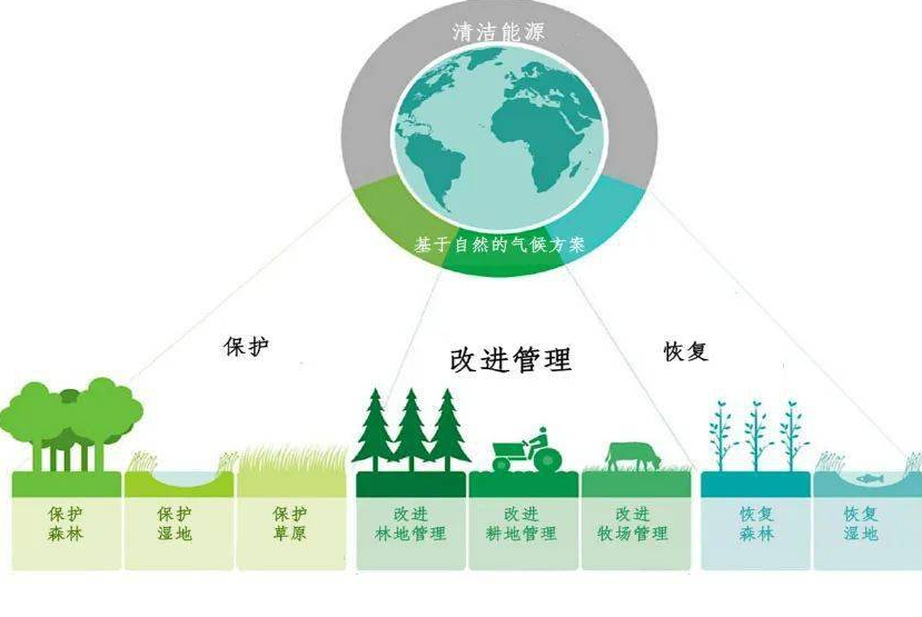 河北碳达峰碳中和工作这样干